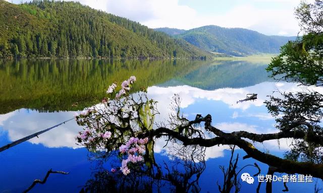 广东端午节旅游景点排行，香格里拉端午节景区景点活动合集出炉