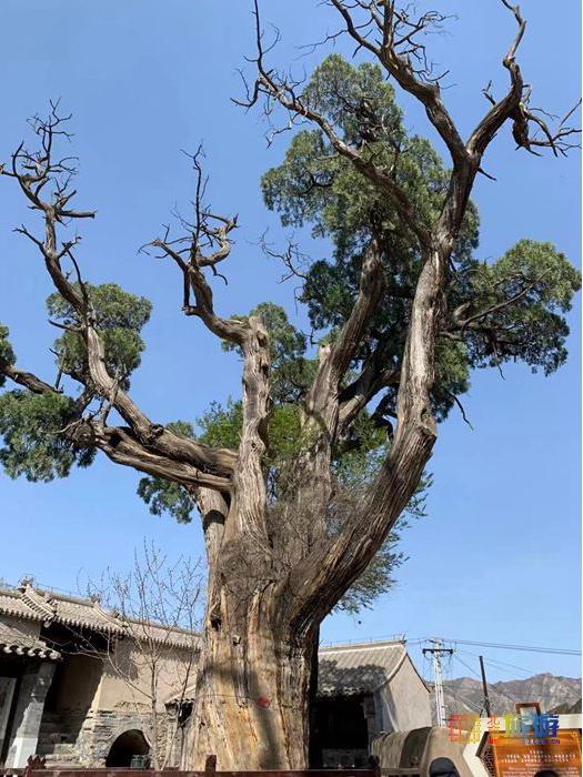 门头沟旅游景点大全，门头沟旅游攻略及景点介绍（门头沟16家景区游玩、服务电话全攻略）