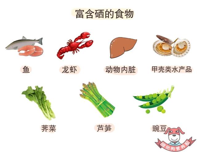 自由基抗氧化剂有什么，盘点若美欣等三大含富勒烯护肤品