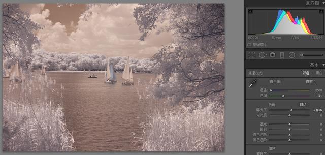 红外是怎么成像的，红外摄影入门全攻略