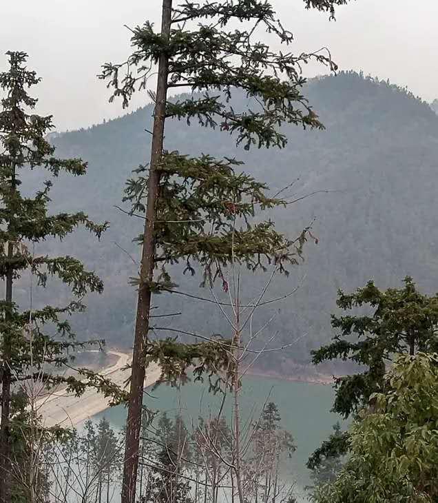 光山旅游景点大全，河南省光山县