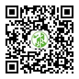 花很香又漂亮的藤蔓植物，12种开花藤蔓植物