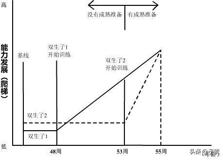 双胞胎爬梯实验说明了什么，双生子爬梯实验