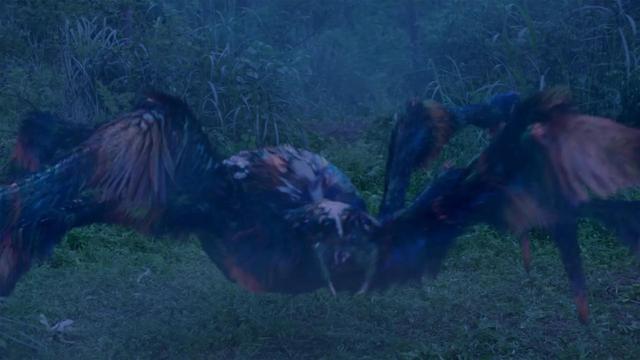 《斗罗大陆》电视剧:吴宣仪，《斗罗大陆》吴宣仪上线