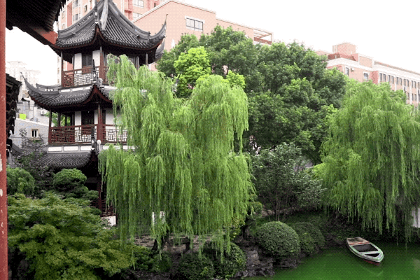 茴香豆几种吃法，茴香豆不是五香豆