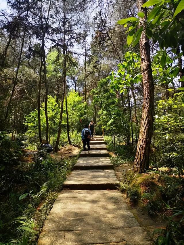 南湖多彩植物园，这个季节重庆哪些地方旅游最适合（邀你来看“漫山红”）