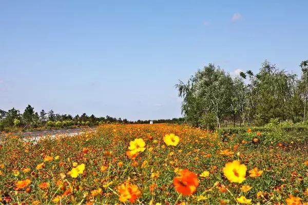 如意湖湿地公园游玩攻略，左中休闲好去处
