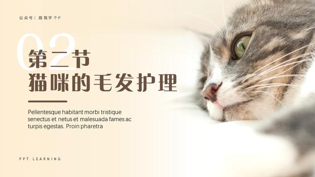 ppt加入蒙版，绎奇带你轻松