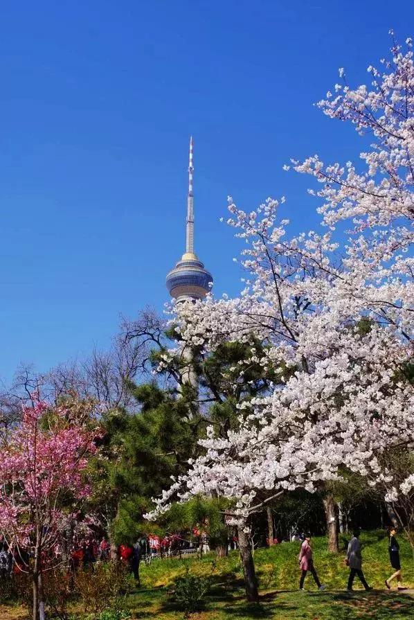 北京一日游攻略，北京一日旅游攻略必去景点