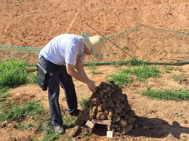 深圳市农家乐旅游景点有哪些，深圳人的后花园--深圳农家乐游玩好地方推荐