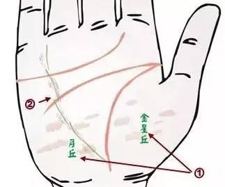 面诊图解大全清晰图，手诊面诊全息图解（你也能当半个医生）