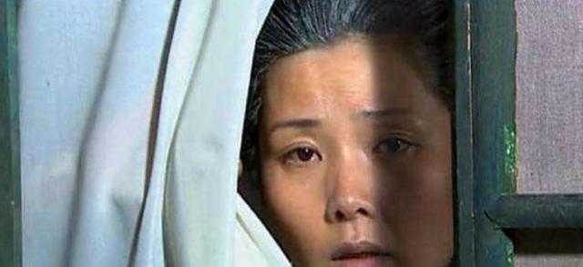 大宅门杨九红说自己的家在哪里，大宅门 第二十三章