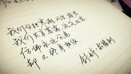 致橡树的四种爱情观，致橡树传达的爱情观