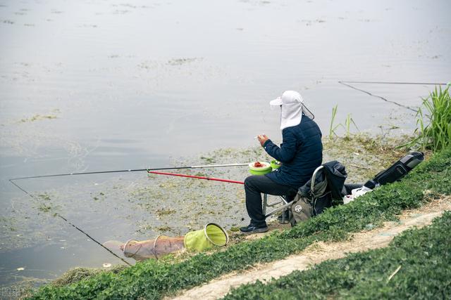 秋分季节如何钓鲤鱼，秋分过后钓大鲤