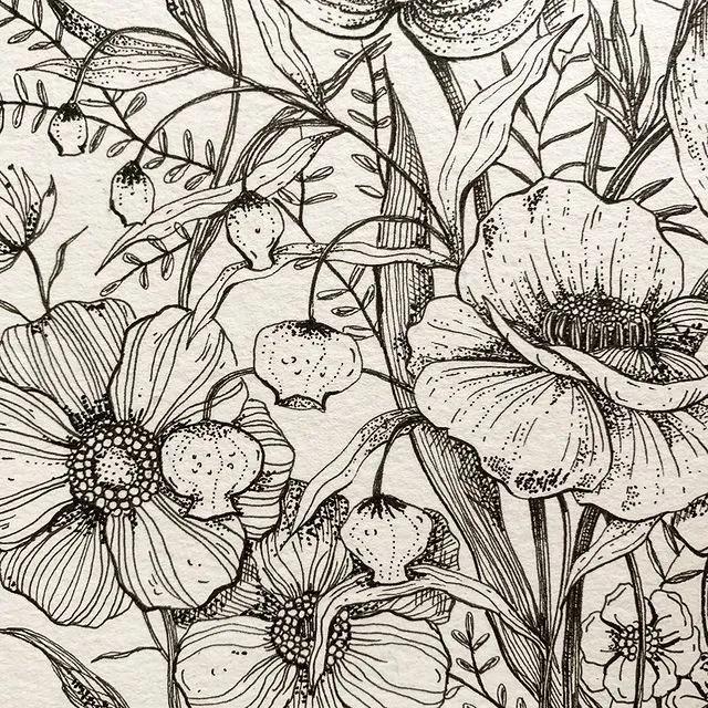 妙笔生花水墨画教程，教科书级别的植物线描