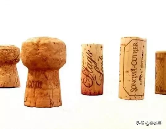 橡木相关知识，记得收藏这篇文章备用