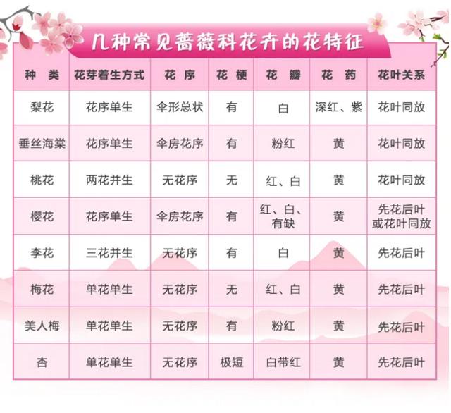 杏花桃花几月份开，2023北京赏花攻略