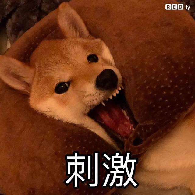 又虐又非常甜的剧，这部高能甜剧一定要戴耳机