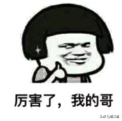 百家姓林排第几，福建省姓氏最新排名