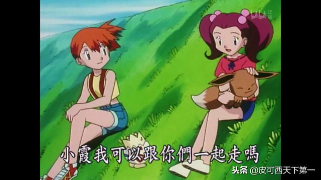神奇宝贝里面的十大幻兽，在动画中出现的十三只伊布