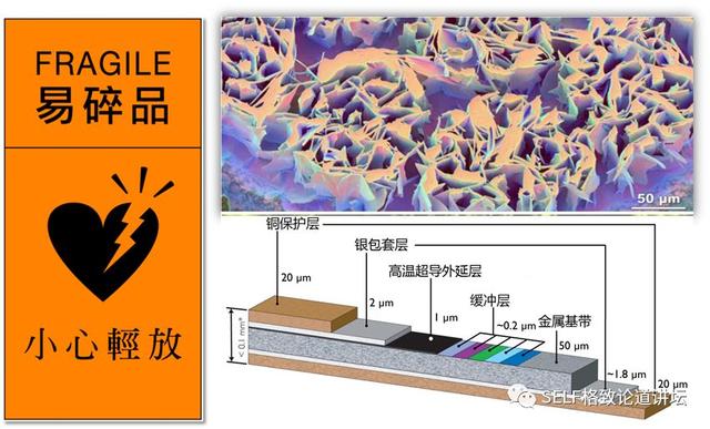 诺贝尔奖 超导，全国政协委员、中科院院士段文晖谈“室温超导材料”