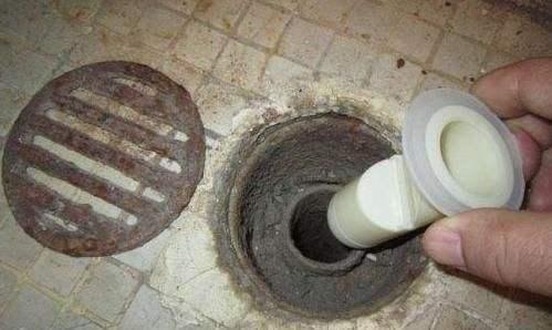 卫生间反味怎么办小妙招，卫生间反味太烦人