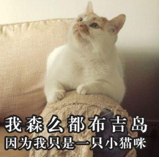 夏令营有什么项目，高校夏令营都做什么