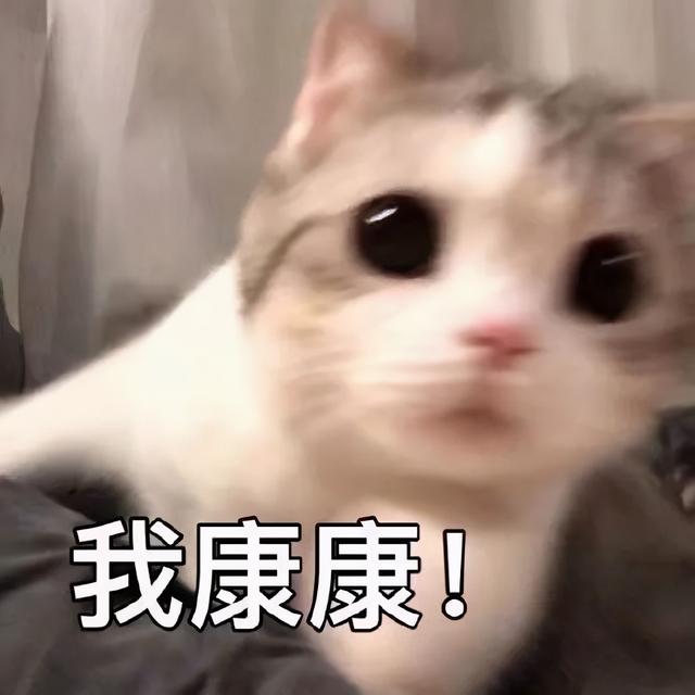 怪猎崛起各种属性作用，猎人必看的花链、护石、饰品详解