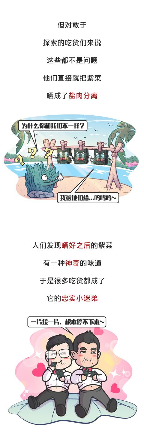 海苔是用什么做的，海苔主要是用什么制作的（海苔、紫菜是同一种食物）