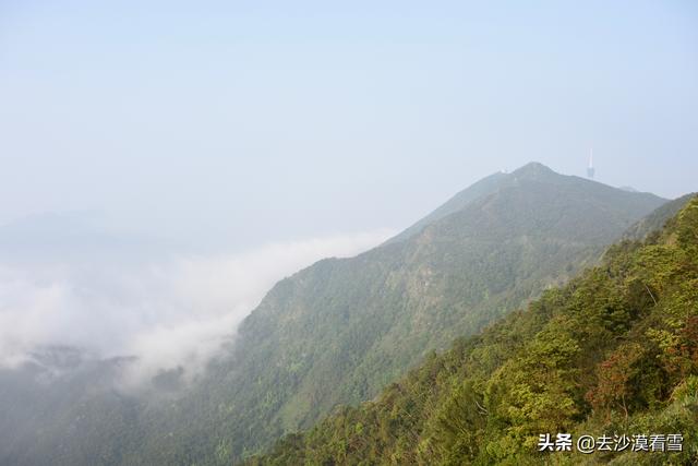 深圳梧桐小镇露营，可以带她在深圳这样玩