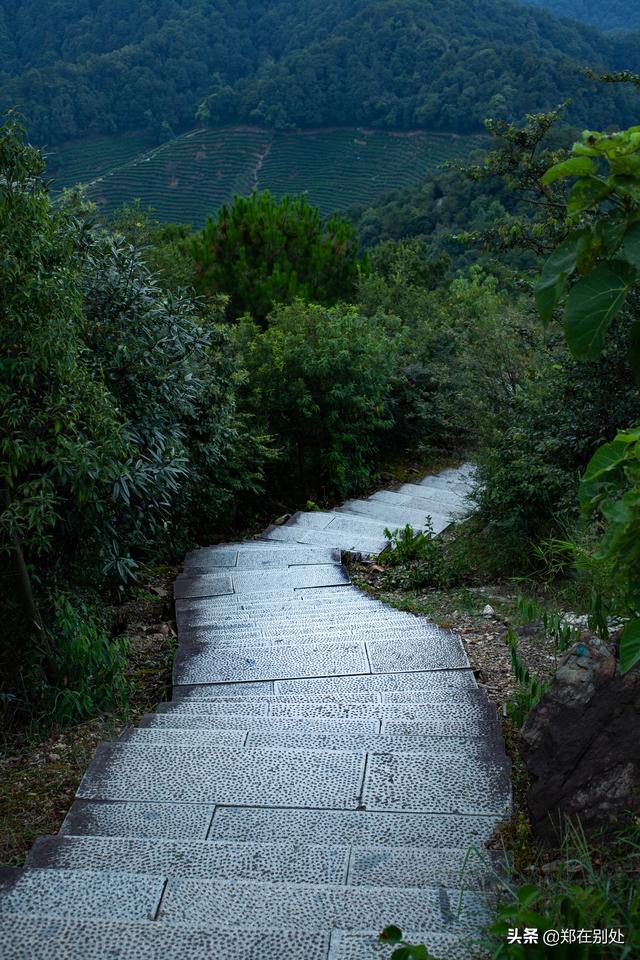 杭州冷门爬山路线，杭州登山路线08最好在这里