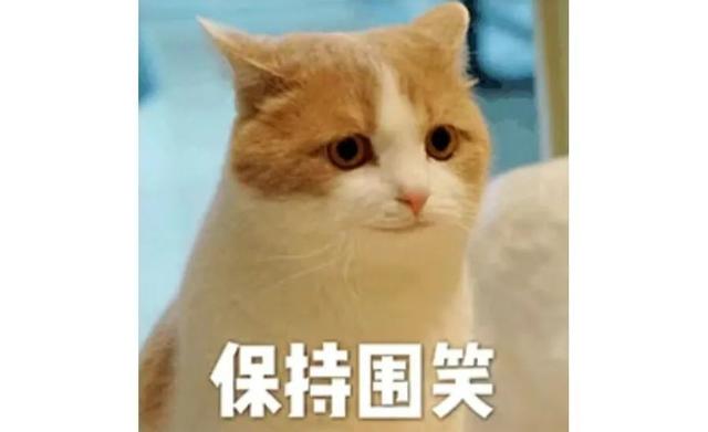 天津海昌极地海洋公园旅游攻略，带着孩子去看鱼