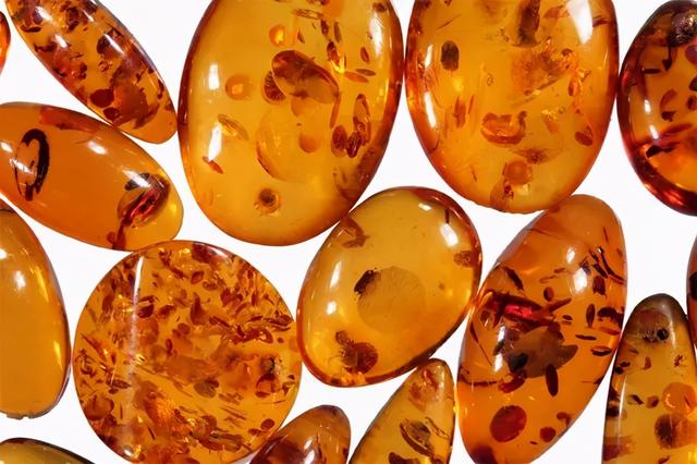 拉脱维亚有哪些国家，拉脱维亚你不知道的国家冷知识