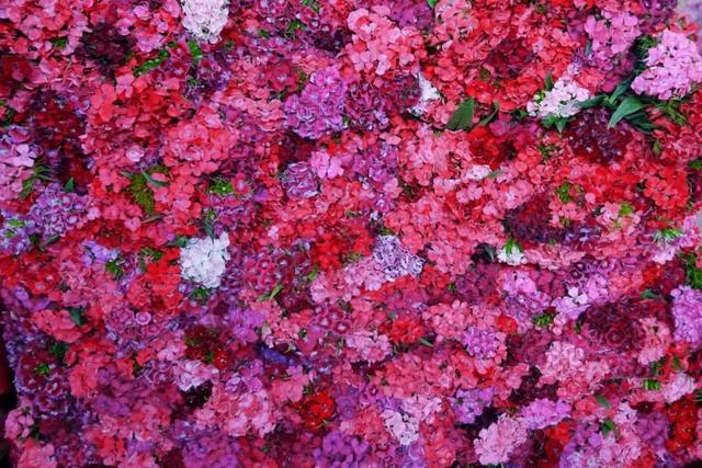 便宜又实惠的鲜花市场，打卡全国最大的鲜花批发市场