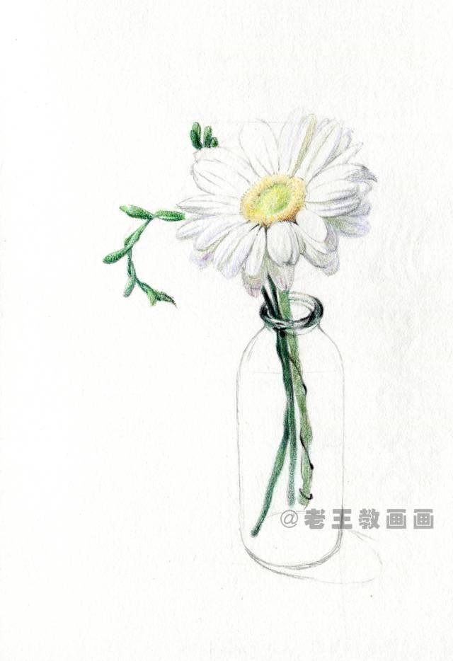 菊花又简单又好看怎么画，菊花画法及步骤