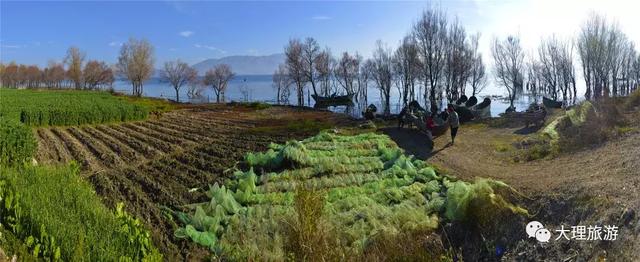 洱海有道旅游攻略，一印两亭三岛