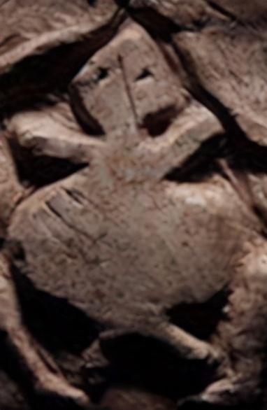 夏朝存在过吗，别丢弃了距今4.8千年在阿富汗的