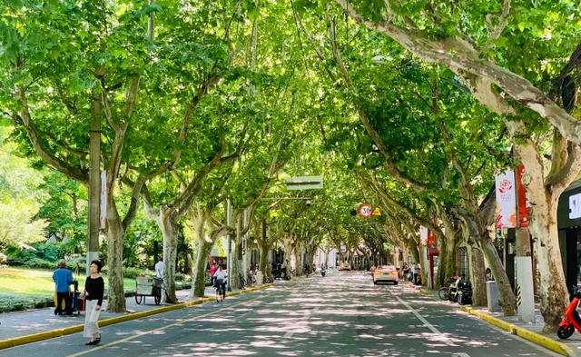 上海的老洋房故事，上海一幢70余年历史老洋房引发官司