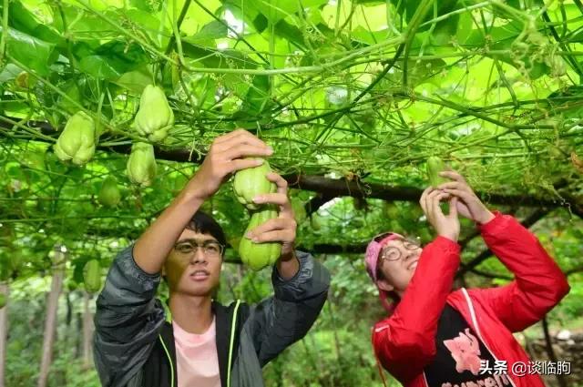 嵩山风景区一日游，又到春天旅游季