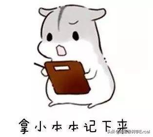 单元格外换行，超实用的三种Excel单元格换行方法