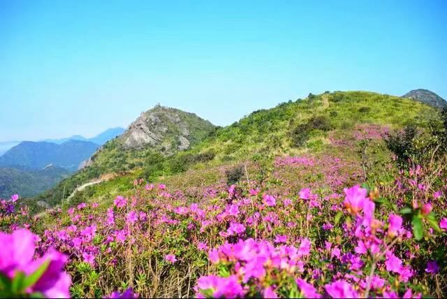 广东十座海拔最高的山，为什么都说广东人游广东先游广东第一峰