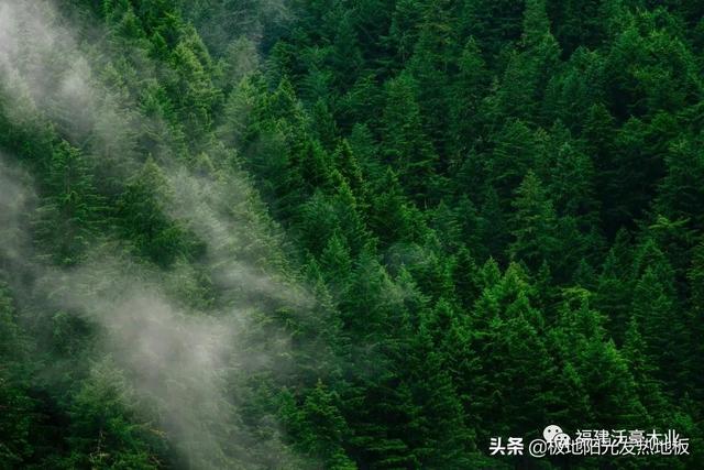 适合地热的实木地板板材，极地阳光带你探索深山选择发热地板的好木材