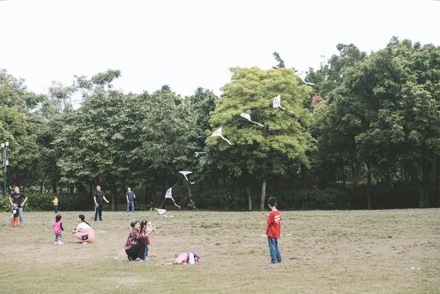 深圳游玩攻略必去的地方免费，7个遛娃好去处全免费