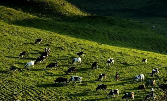 湖南自驾一日游最佳景点，湖南这6条自驾游线路
