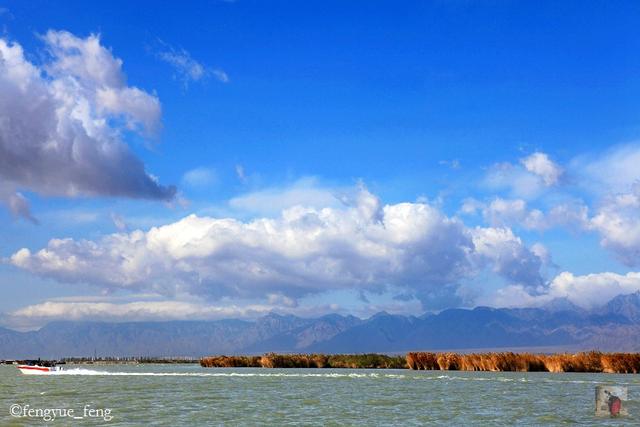 沙湖旅游景点介绍，宁夏沙湖旅游景点介绍（生态呵护成就沙湖“老”景区的“新”风貌）