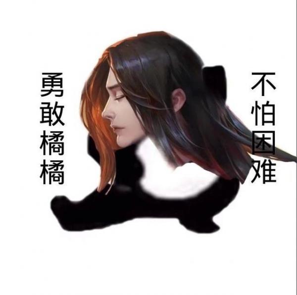 王者荣耀无敌皮皮鸟表情包，王者荣耀表情包献上