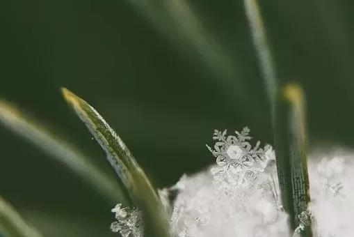 古人对雪的雅称，古代人眼中的雪是什么样的