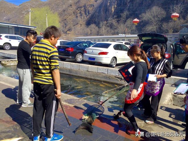 怀柔虹鳟鱼一条沟，怀柔虹鳟鱼一条沟攻略