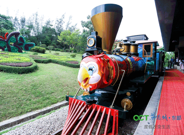 隐在深圳东部的世外桃源，深圳附近冬日温泉旅游