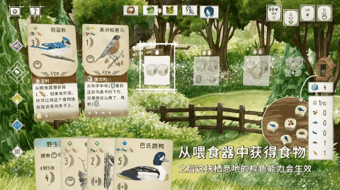 最值得收藏的桌游，玩卡牌还带科普